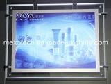 Window Display Finger Curved Advertising LED Light Boxes