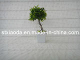 Artificial Plastic Tree Bonsai (XD14-9)