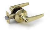 Tubular Zinc Alloy Handle Lock (SKL-3501PB-ET)