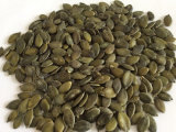 Pumpkin Seeds Kernel Grade AA with High Quality