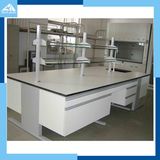 Medical Lab Furniture/Working Bench