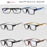 2015 New Style Tr90 Optical Frames Eyewear (2879)