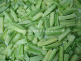 Supply High Quality IQF Green Zucchini Strips