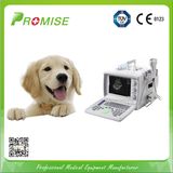 Buy Ultrasound Equipment for Vet