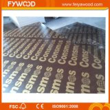 Top Qualtiy Panel Plywood Brown Color Film Faced Plywood