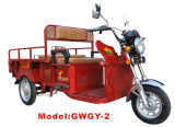 Gwgy-2 Electric Tricycle