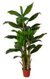 Artificial Plants of Banana Tree Gu-Bj-803-30L-3tr