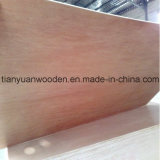 Okoume/Bintangor/Keruing/Pencil Ceder Veneer Faced Commercial Plywood