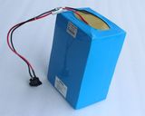 Lithium Ion Batteries 48V20ah