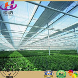 Fabric 100% Virgin HDPE Shade Net for Greenhouse