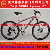 Tianjin Gainer 26