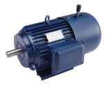 Three-Phase Induction Electric Motor