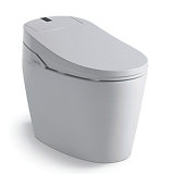 Sanitary Ware Ceramic Intelligent Toilet (YB0013)