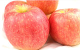 2014 Fresh Sweet FUJI Apples (SGS Certificate)