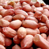 2015 New Crop Raw Peanut Good Quality Dry Nuts
