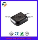 Combination GPS WiFi Antenna (TOP-WiFi/GPS01)