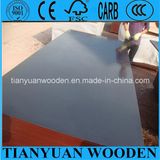 Waterproof Shuttering Marine Film Faced Plywood