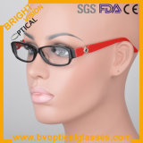 Latest Design High Quality Acetate Eyewear (SS-017)