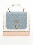 2013 New Fashion Bag, Handbag (NS-299)