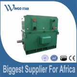 High Voltage Induction Electric Motor