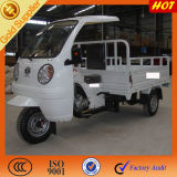 China Motorized Adult Large Cargo Tricycle with Cabin
