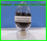 Seaweed Extract Fertilizer