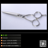 Special Hairdressing Beauty Scissors (E-60)