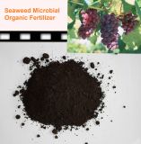 Bio-Bacterial (microbio) Manure Organic Fertilizer
