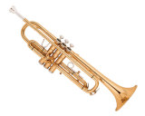 Trumpet (TR-24)