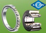 Slewing Bearings