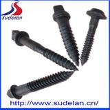 Area 15/16* 5 Carbon Steel Screw Square Head