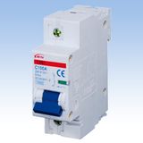 Mini Circuit Breaker CXB1-100 (NC100H)