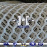 High Quality Hexagonal Plastic Plain Net