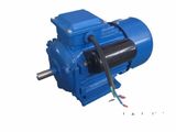 220V YCL Motor