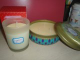 Grapefruit & Mint Cuttings Scented Candles