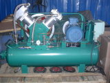 Oil Free Methane Compressor