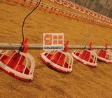 Poultry Farm Equipment Poultry Feeder