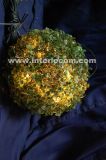 Grass Ball Lighting with LED for Decoration Light (IL108263)