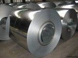 Aluzinc Steel Coil (DX51D+AZ)