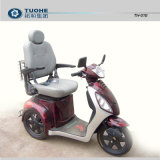 Electric Tricycle (TH-01E)