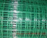 Welded Wire Mesh (YND-WM-01)