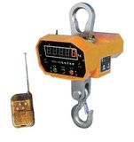 Electronic Crane Scale