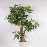 Artificial Pachira Macrocarpa Bonsai Tree Real Wood Plant for Garden
