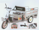 Electric Tricycle 19-48V500W