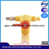 QF-T1 Brass CNG Cylinder Valve for Vehicle with Safety Device