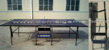 Table Tennis Table (DTT9023)