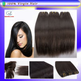 Fashion High Quality Brazilian Virgin Human Hair Silk Straight