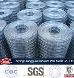 Welded Wire Mesh