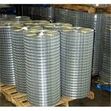 1/2'' Welded Wire Mesh