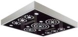 Commercial Lift Ceiling (SMCTP-02)